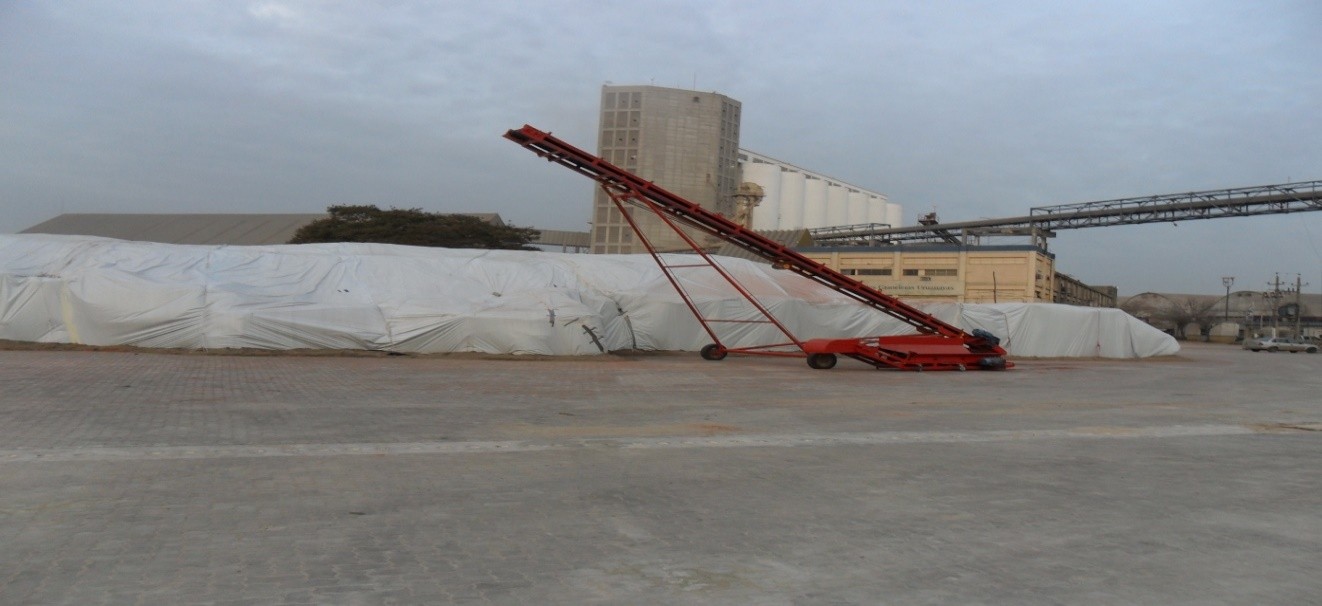 Nueva Palmira 3